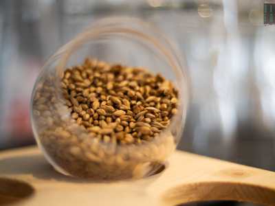 Siamo quindi andati alla scoperta di questo particolare mondo fatto di realt� che si fanno la birra �in casa� 